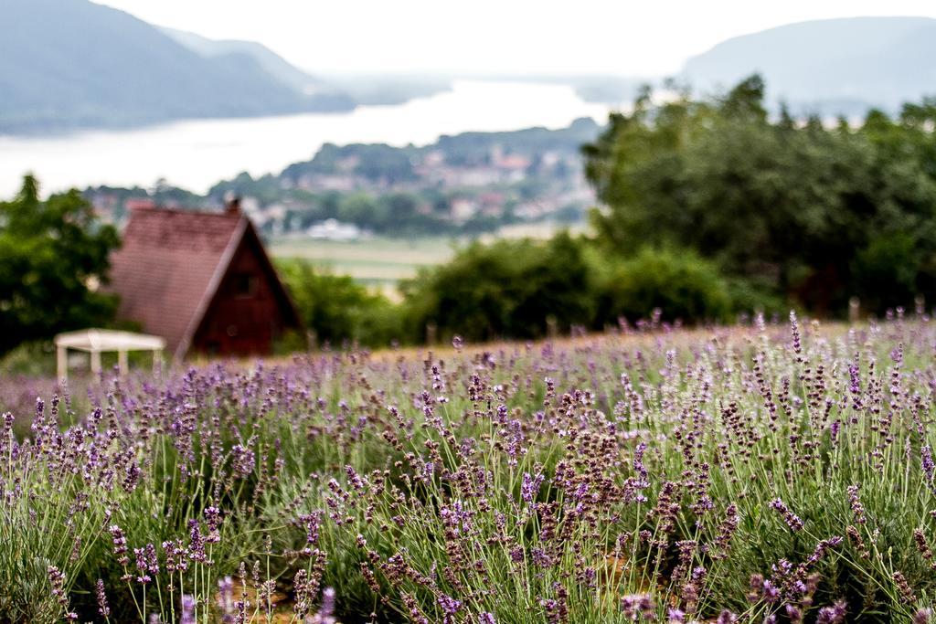 Natura Hill Panzio & Slow Food Fine Bistro Otel Zebegény Dış mekan fotoğraf